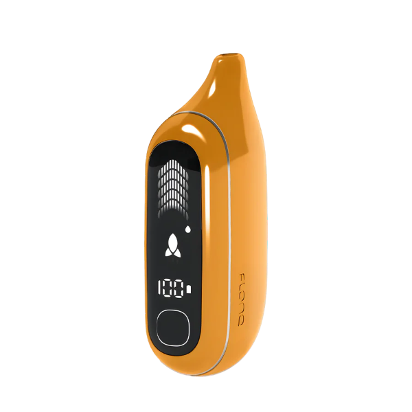 Flonq Max Pro Mango Icy disposable vape with sweet mango and frosty menthol exhale